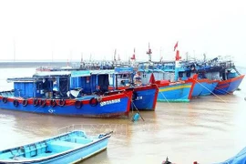 La province de Quang Binh contrôle 100% des navires de pêche arrivant aux ports locaux pour charger et décharger des produits de pêche, conformément aux réglementation. Photo d'archives