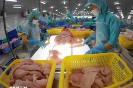 Transformation de pangasius pour l'exportation. Photo: VNA