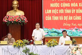 Le président de l'Assemblée nationale, Tran Thanh Man, prend la parole lors de la séance de travail. Photo: VNA