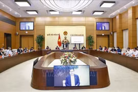 Panorama de la réunion. Photo: VNA