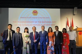 L'ambassadeur Ngo Huong Nam et des cadres de l'ambassade du Vietnam aux Pays-Bas lors de la cérémonie. Photo : VNA