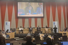 L'ambassadeur Dang Hoang Giang prend la parole lors du dialogue. Photo: VNA