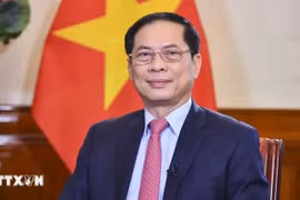 Le vice-Premier ministre et ministre des Affaires étrangères, Bui Thanh Son. Photo: VNA
