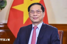 Le vice-Premier ministre et ministre des Affaires étrangères, Bui Thanh Son. Photo: VNA