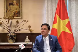 L’ambassadeur du Vietnam au Japon, Pham Quang Hieu. Photo: VNA