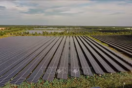 Centrale solaire Europlast Long An, commune de My Thanh Bac, district de Duc Hue, province de Long An. Photo d'archives: VNA