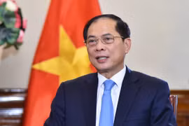 Le vice-Premier ministre et ministre des Affaires étrangères, Bui Thanh Son. 