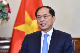 Le vice-Premier ministre et ministre des Affaires étrangères, Bui Thanh Son.