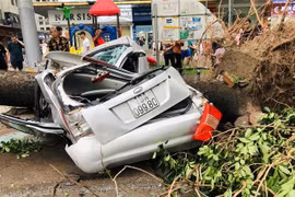 Une voiture a été écrasée par un arbre tombé devant le bâtiment HH de la zone urbaine Linh Dam. Photo: VNA