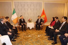 Le secrétaire général du Parti communiste du Vietnam (PCV) et président vietnamien, To Lam, rencontre Patrick McKillen, président du groupe Pacific Land, consul honoraire du Vietnam en Irlande. Photo: VNA