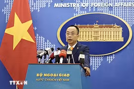 Le porte-parole adjoint du ministère des Affaires étrangères, Doan Khac Vie
