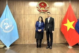 L'ambassadeur Dang Hoang Giang, chef de la Mission permanente du Vietnam auprès des Nations Unies (ONU), et June Kunugi, directrice de la Division des partenariats publics de l’UNICEF. Photo: VNA