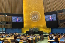 L’ambassadeur Dang Hoang Giang, chef de la Mission permanente du Vietnam auprès des Nations Unies. s'exprime lors du débat. Photo: VNA