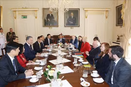 Le secrétaire général du PCV et président vietnamien, To Lam, s'entretient avec le président irlandais, Michael D. Higgins. Photo: VNA