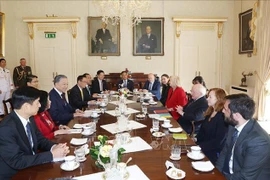 Le secrétaire général du PCV et président vietnamien, To Lam, s'entretient avec le président irlandais, Michael D. Higgins. Photo: VNA