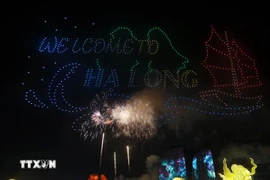Lors de la cérémonie d'ouverture du Carnaval de Ha Long. Photo: VNA