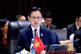 Le vice-ministre des Affaires étrangères, Do Hung Viet. Photo: VNA