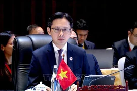 Le vice-ministre des Affaires étrangères, Do Hung Viet. Photo: VNA