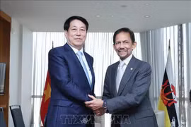 Le président Luong Cuong (gauche) et le sultan de Brunei, Hassanal Bolkiah. Photo: VNA
