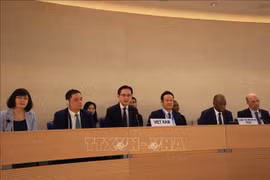 Le vice-ministre des Affaires étrangères Do Hung Viet prend la parole lors de la séance d'approbation du rapport national du Vietnam. Photo: VNA