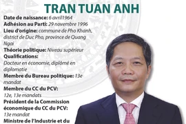 Tran Tuan Anh: président de la Commission économique du CC du PCV