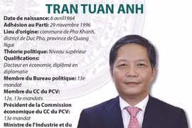 Tran Tuan Anh: président de la Commission économique du CC du PCV