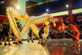 Festival national de danses de la licorne et du dragon de Da Nang 2019