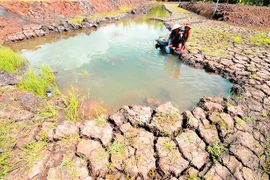 Changement climatique: créer des modèles de subsistance pour les habitants de Tra Vinh