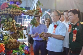 Ouverture de la Fête des longanes de Hung Yen 2020
