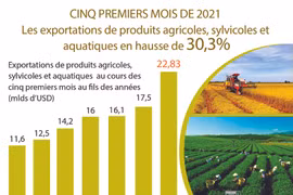 Les exportations de produits agricoles,sylvicoles et aquatiques en hausse de 30,3% en 5 mois