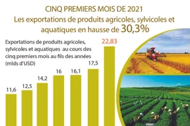 Les exportations de produits agricoles,sylvicoles et aquatiques en hausse de 30,3% en 5 mois