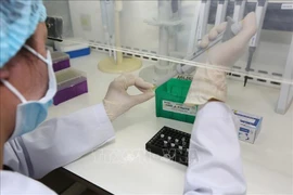 COVID-19/Hanoï: test gratuit pour les Vietnamiens revenus de zones épidémiques depuis le 1er mars