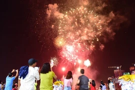 Nouvel An du Rat: feux d'artifice dans l’ensemble du pays