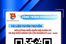 Les jeunes de Hanoï appliquent les TI au service des élections législatives 