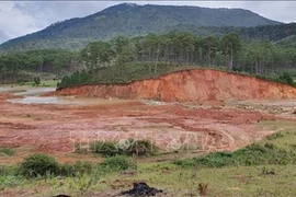 Renforcement des écosystèmes dans les provinces de Lam Dong et de Dak Nong