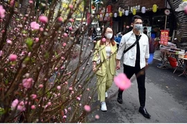 Hanoi prévoit 91 marchés aux fleurs de printemps avant le Têt