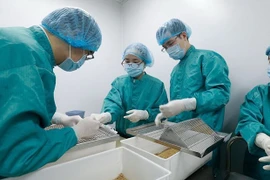 COVID-19 : Aucun nouveau cas de transmission locale depuis 75 jours