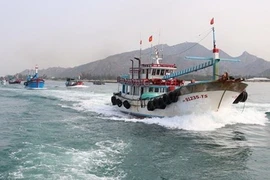 Le Vietnam est déterminé à faire retirer le « carton jaune » sur la pêche INN