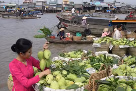 Les exportations vietnamiennes de fruits et légumes vers les Etats-Unis reviennent normales