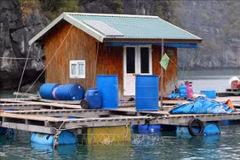 Promouvoir la responsabilité élargie des producteurs pour l'économie circulaire