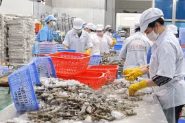 Promouvoir la coopération aquacole entre des villes vietnamiennes et indiennes