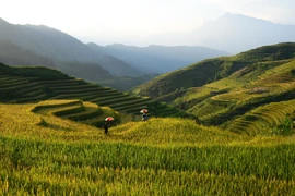 Dix destinations spectaculaires au Vietnam, selon The Travel