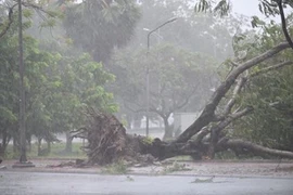 La tempête Noul provoque de lourdes dégâts dans des provinces du Centre 