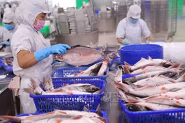 Les exportations de produits aquatiques en hausse de 42% en cinq mois