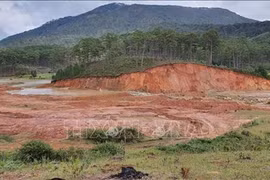 Renforcement des écosystèmes dans les provinces de Lam Dong et de Dak Nong