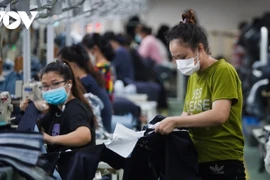 Les entreprises vietnamiennes se mettent au vert