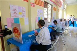 Des médias étrangers apprécient grandement l'organisation des élections législatives du Vietnam ​