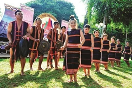 Réalisations remarquables en matière d'égalité des sexes au sein des minorités ethniques au Vietnam