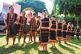 Réalisations remarquables en matière d'égalité des sexes au sein des minorités ethniques au Vietnam