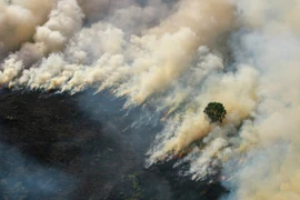 La Thaïlande, le Myanmar et le Laos discuteront des mesures de lutte contre la brume